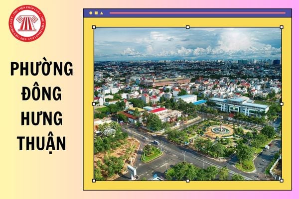 Hỏi đáp Pháp luật