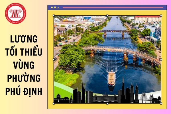Hỏi đáp Pháp luật