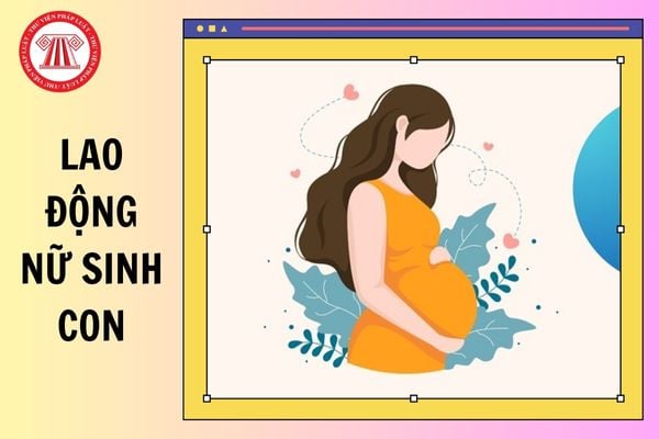 Hỏi đáp Pháp luật