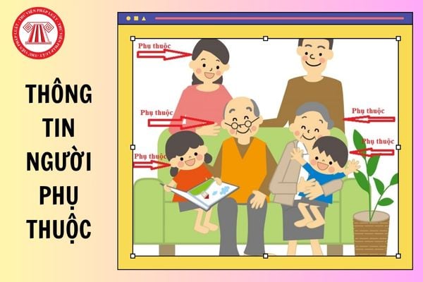 Hỏi đáp Pháp luật