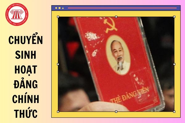 Hỏi đáp Pháp luật