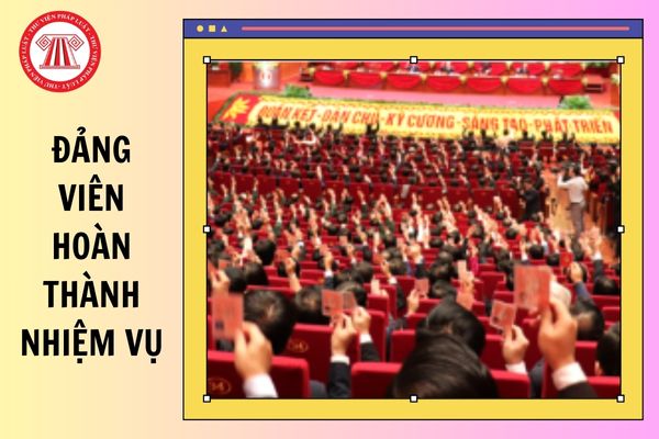 Hỏi đáp Pháp luật
