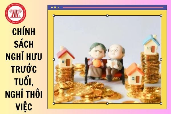 Mẫu kế hoạch thực hiện chính sách nghỉ hưu trước tuổi, nghỉ thôi việc theo Nghị định 178 của BHXHVN 2025?