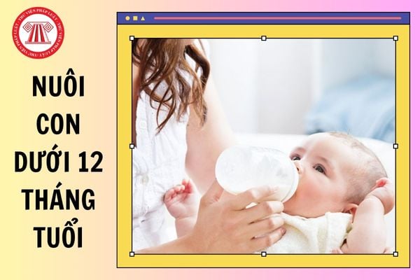 Lao động nữ không có nhu cầu nghỉ trong thời gian nuôi con dưới 12 tháng tuổi thì có được trả thêm không?