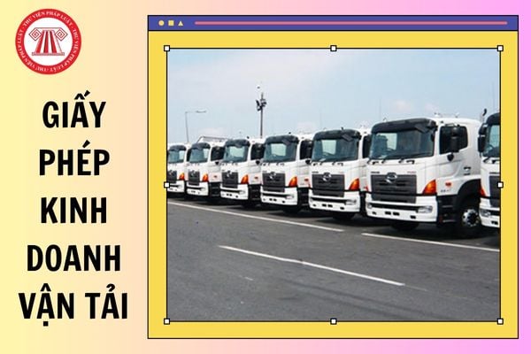 Thủ tục xin giấy phép kinh doanh vận tải 2025 thực hiện như thế nào?