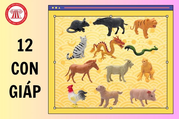 Hỏi đáp Pháp luật