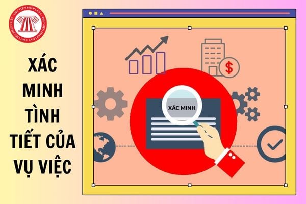 Hỏi đáp Pháp luật