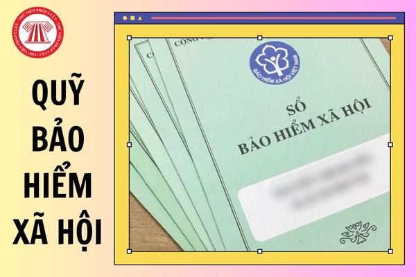03 quỹ thành phần của quỹ bảo hiểm xã hội bao gồm những gì?