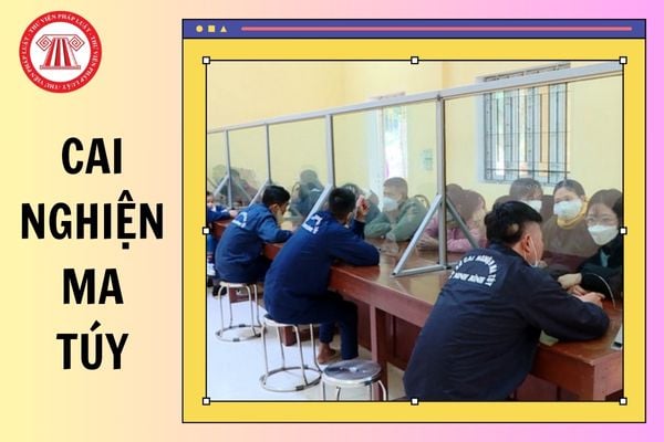 Hỏi đáp Pháp luật
