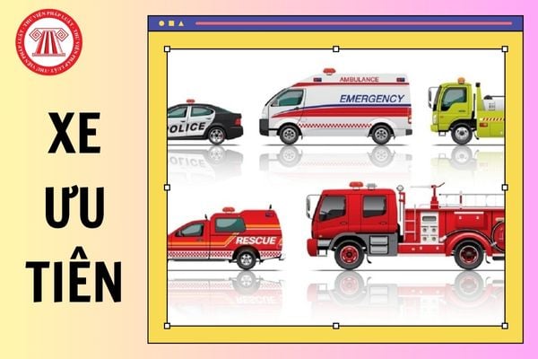 Hỏi đáp Pháp luật