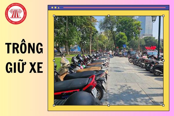 Hỏi đáp Pháp luật