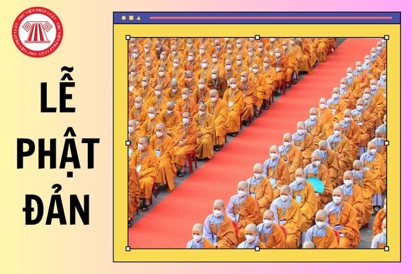 Hỏi đáp Pháp luật