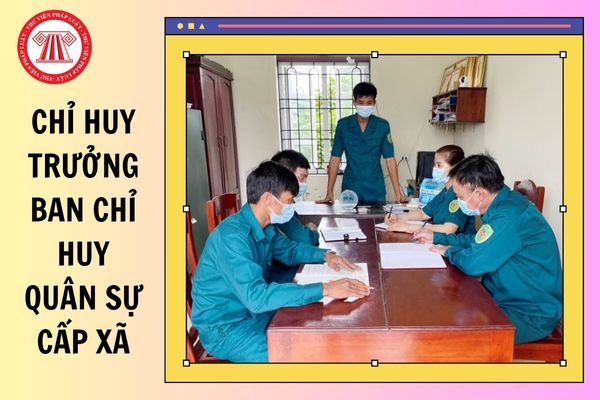 Hỏi đáp Pháp luật