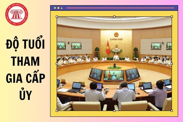 Hỏi đáp Pháp luật