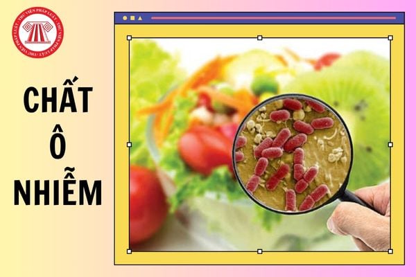 QCVN 20 1 2024 BYT về giới hạn các chất ô nhiễm trong thực phẩm? QCVN 20 1 2024 BYT có hiệu lực chưa?