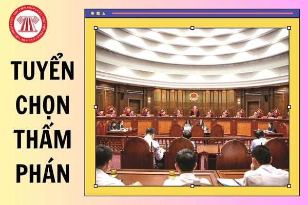 Hỏi đáp Pháp luật