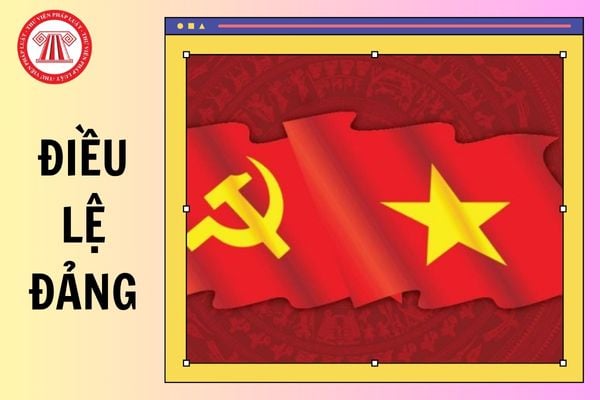 Hỏi đáp Pháp luật