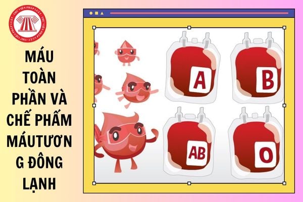 Hỏi đáp Pháp luật