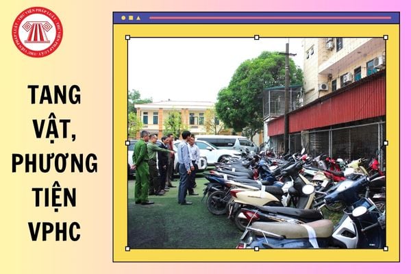 Hỏi đáp Pháp luật