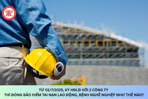 Hỏi đáp Pháp luật