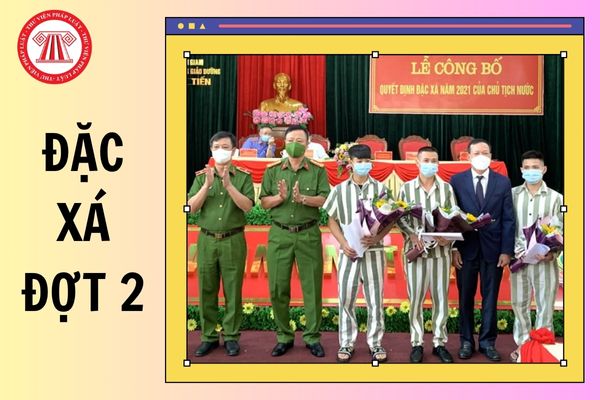 Hỏi đáp Pháp luật