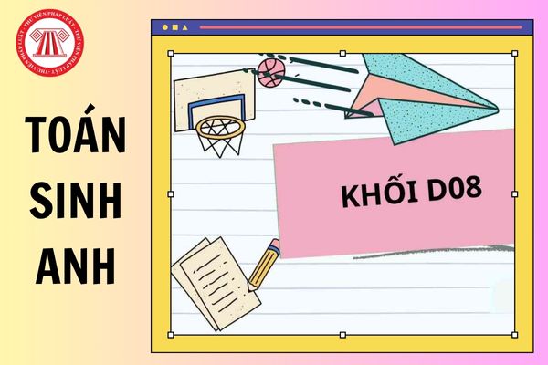 Toán Sinh Anh là khối gì 2025? Toán Sinh Anh học ngành gì?