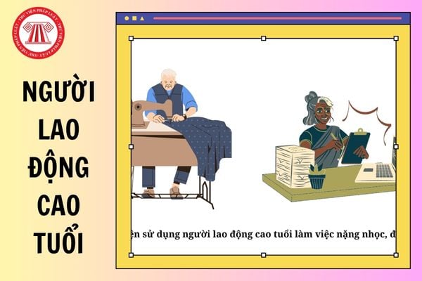 Hỏi đáp Pháp luật