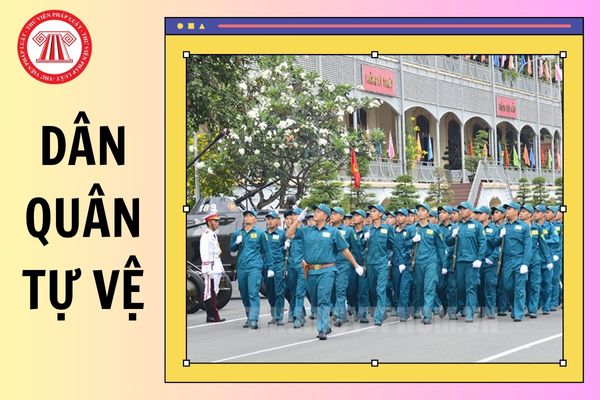 Hỏi đáp Pháp luật