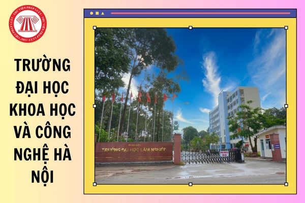 Hỏi đáp Pháp luật