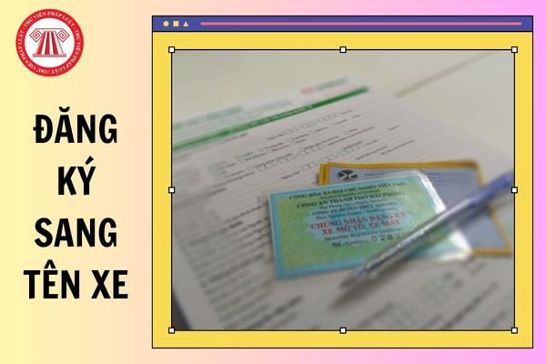 Hỏi đáp Pháp luật