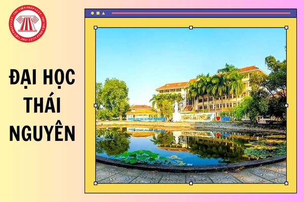 ĐIỂM CHUẨN các trường Đại học Thái Nguyên 2025 chi tiết thế nào?