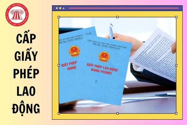 Hỏi đáp Pháp luật