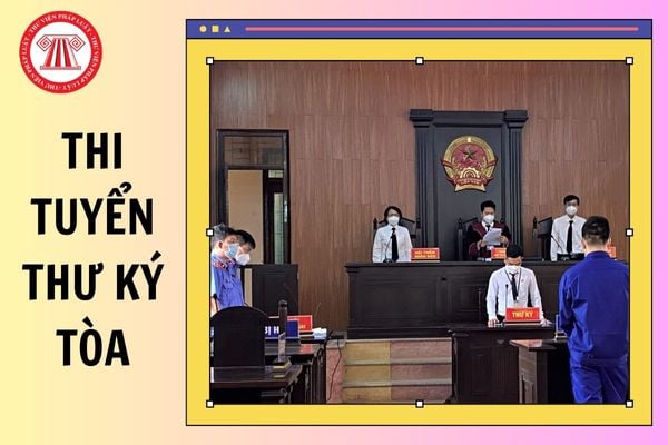 Hỏi đáp Pháp luật