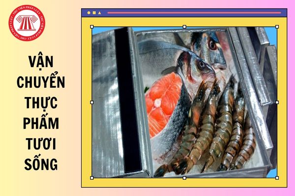 Hỏi đáp Pháp luật