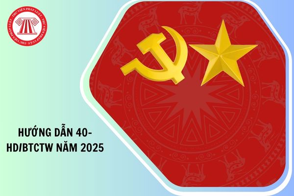 TOÀN VĂN Hướng dẫn 40-H D/BTCTW thực hiện biểu mẫu thống kê cơ bản về tổ chức đảng, đảng viên như thế nào?