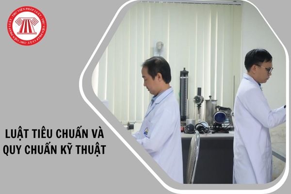 Hỏi đáp Pháp luật
