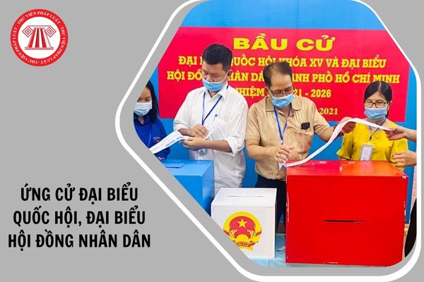 Danh sách chính thức người ứng cử đại biểu Quốc hội, ứng cử đại biểu Hội đồng nhân dân được công bố chậm nhất bao lâu trước ngày bầu cử bổ sung?