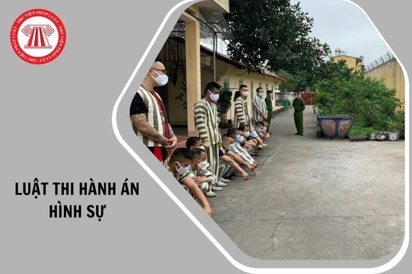 Hỏi đáp Pháp luật