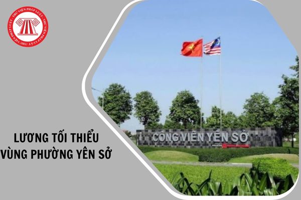 Hỏi đáp Pháp luật