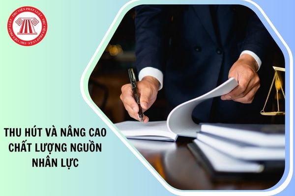 Hỏi đáp Pháp luật