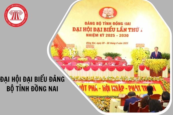 Hỏi đáp Pháp luật