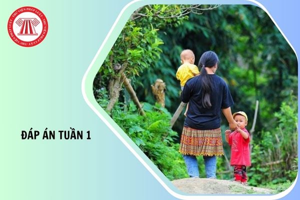 Hỏi đáp Pháp luật