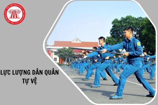 Hỏi đáp Pháp luật