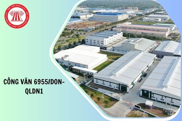 Công văn 6955 DON QLDN1 hướng dẫn đăng ký kê khai, nộp thuế GTGT đối với doanh nghiệp chế xuất thực hiện quyền xuất khẩu, quyền nhập khẩu và quyền phân phối bán buôn như thế nào?