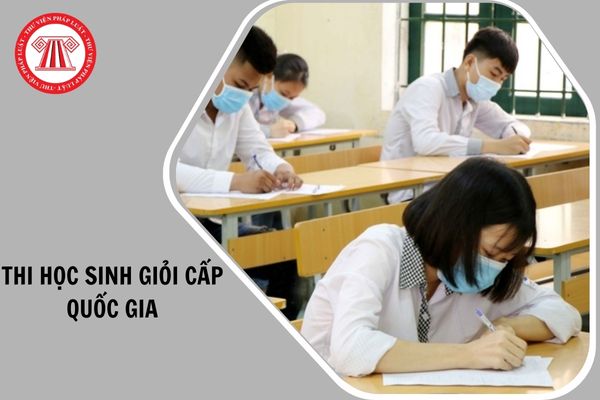 Hỏi đáp Pháp luật