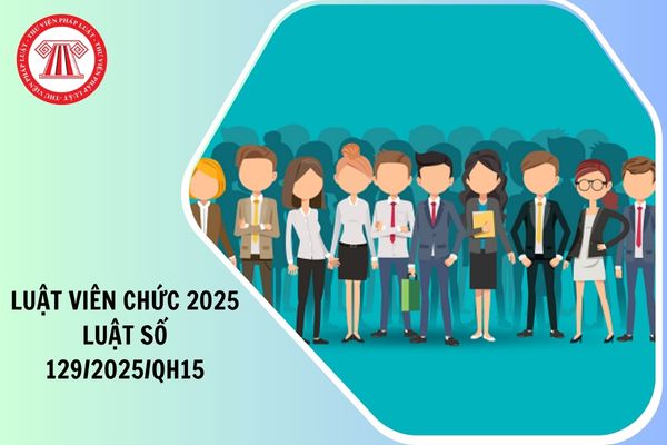 Toàn văn Luật Viên chức 2025 Luật số 129 2025 QH15 chi tiết như thế nào?