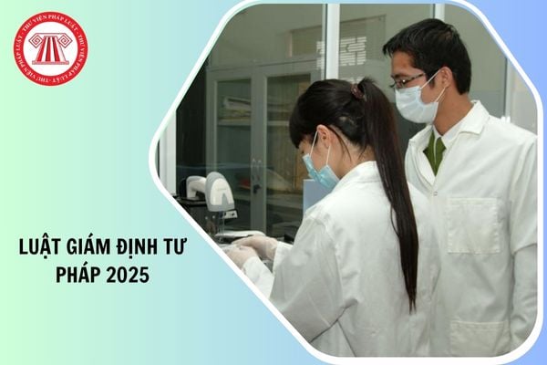 Hỏi đáp Pháp luật