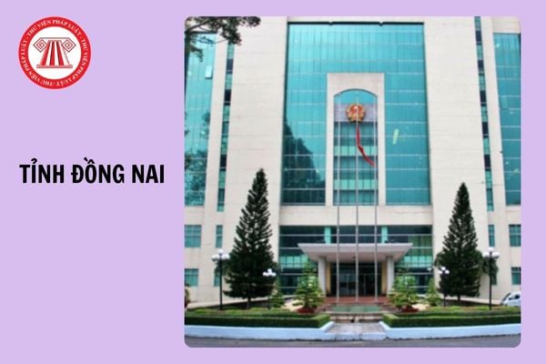 Hỏi đáp Pháp luật