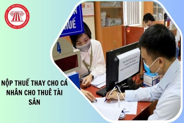Hỏi đáp Pháp luật