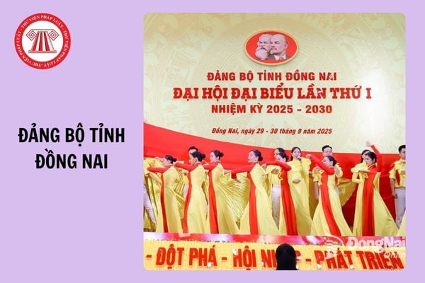 Hỏi đáp Pháp luật